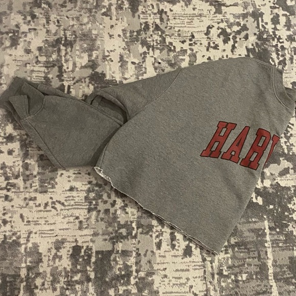 Harvard Cropped Sweatshirt - Picture 3 of 4